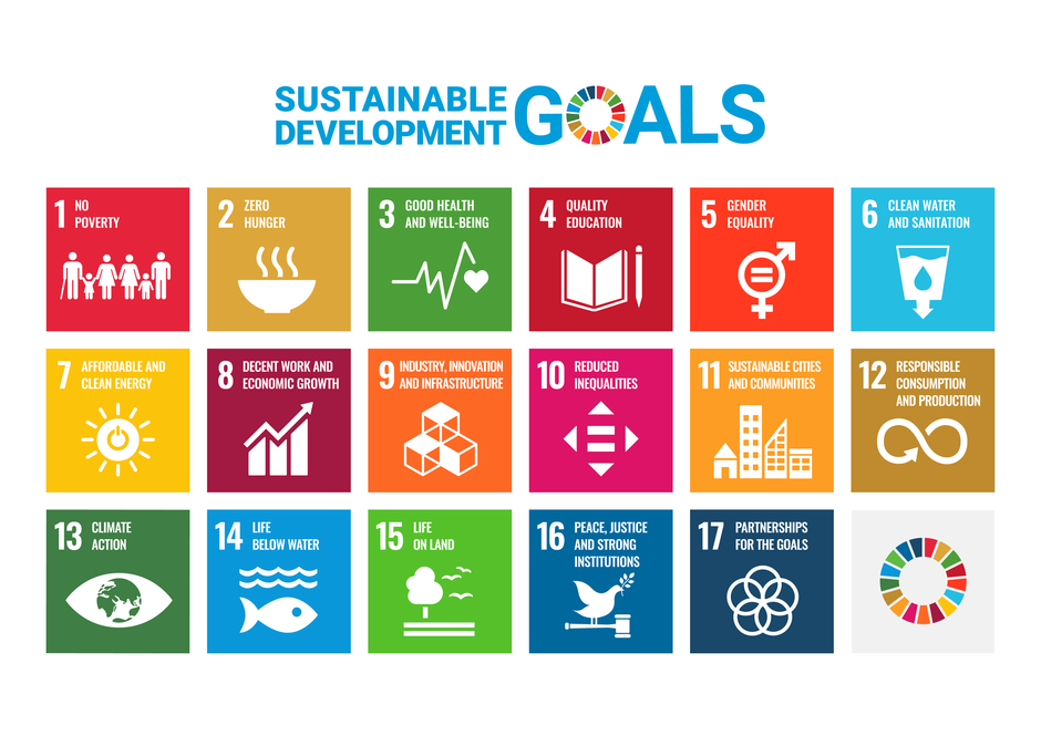 Iconen van de 17 SDG's van de VN